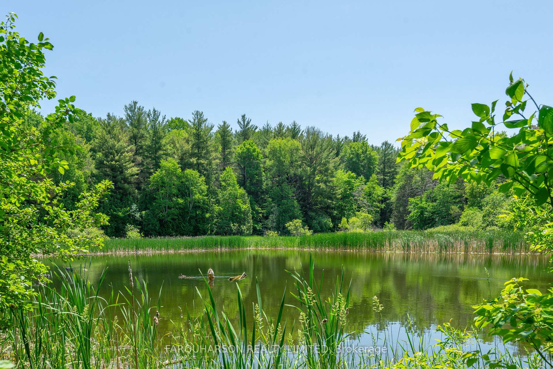 Photo 8 of 71 Ward Road, Scugog, Rural Scugog — HOMEH