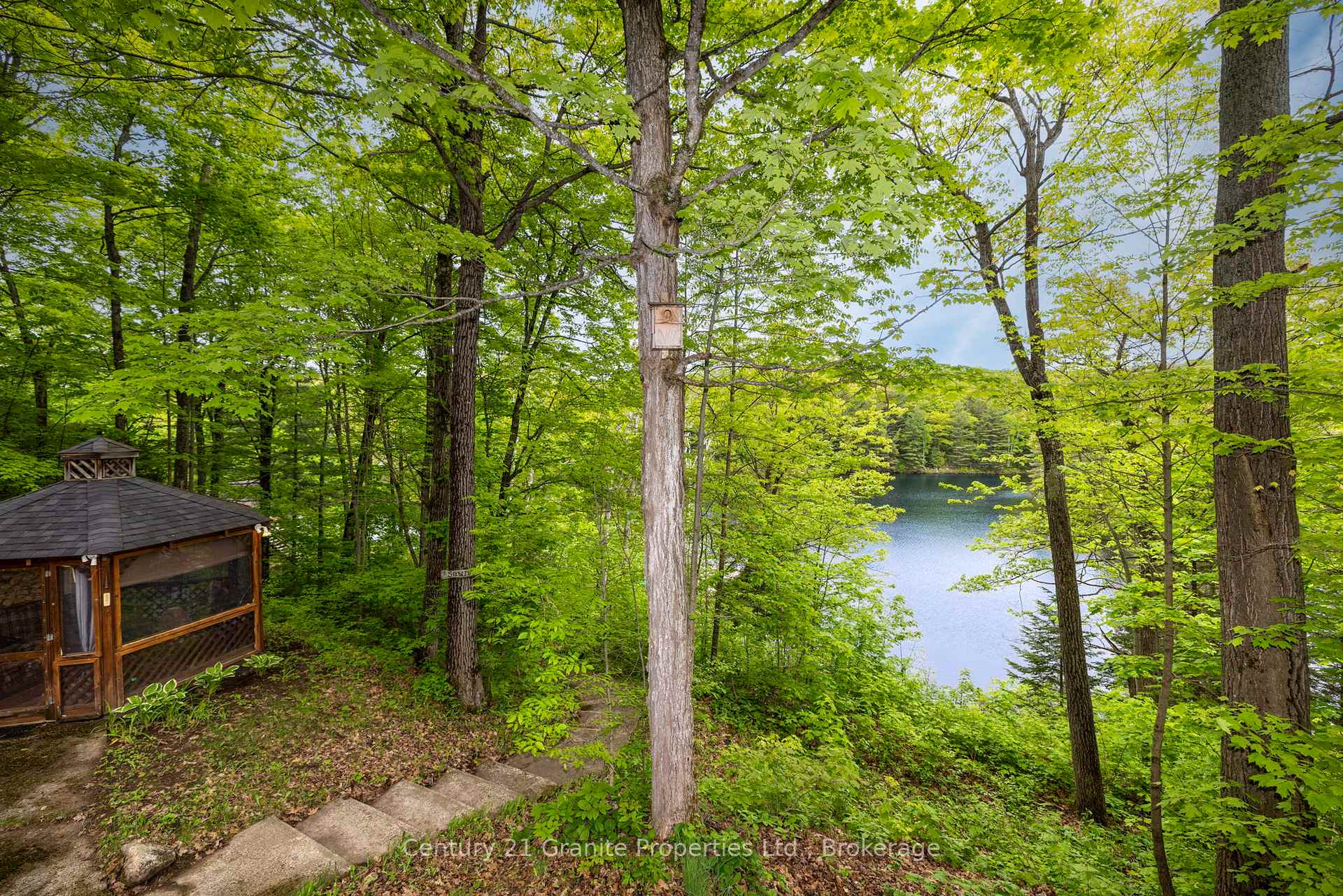 Photo 36 of 131 Downes Road, Seguin — HOMEH