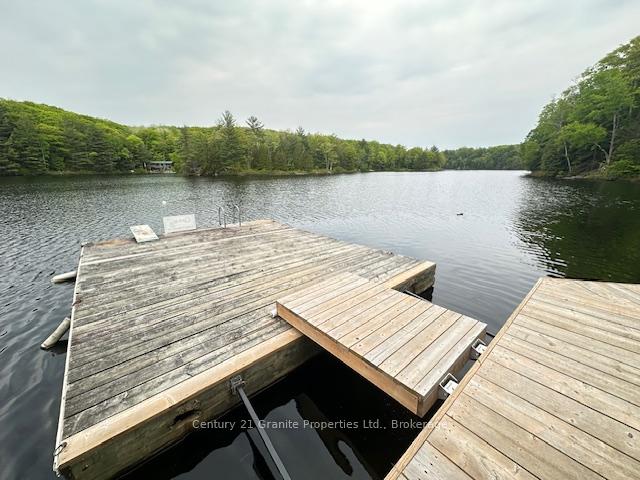 Photo 42 of 131 Downes Road, Seguin — HOMEH