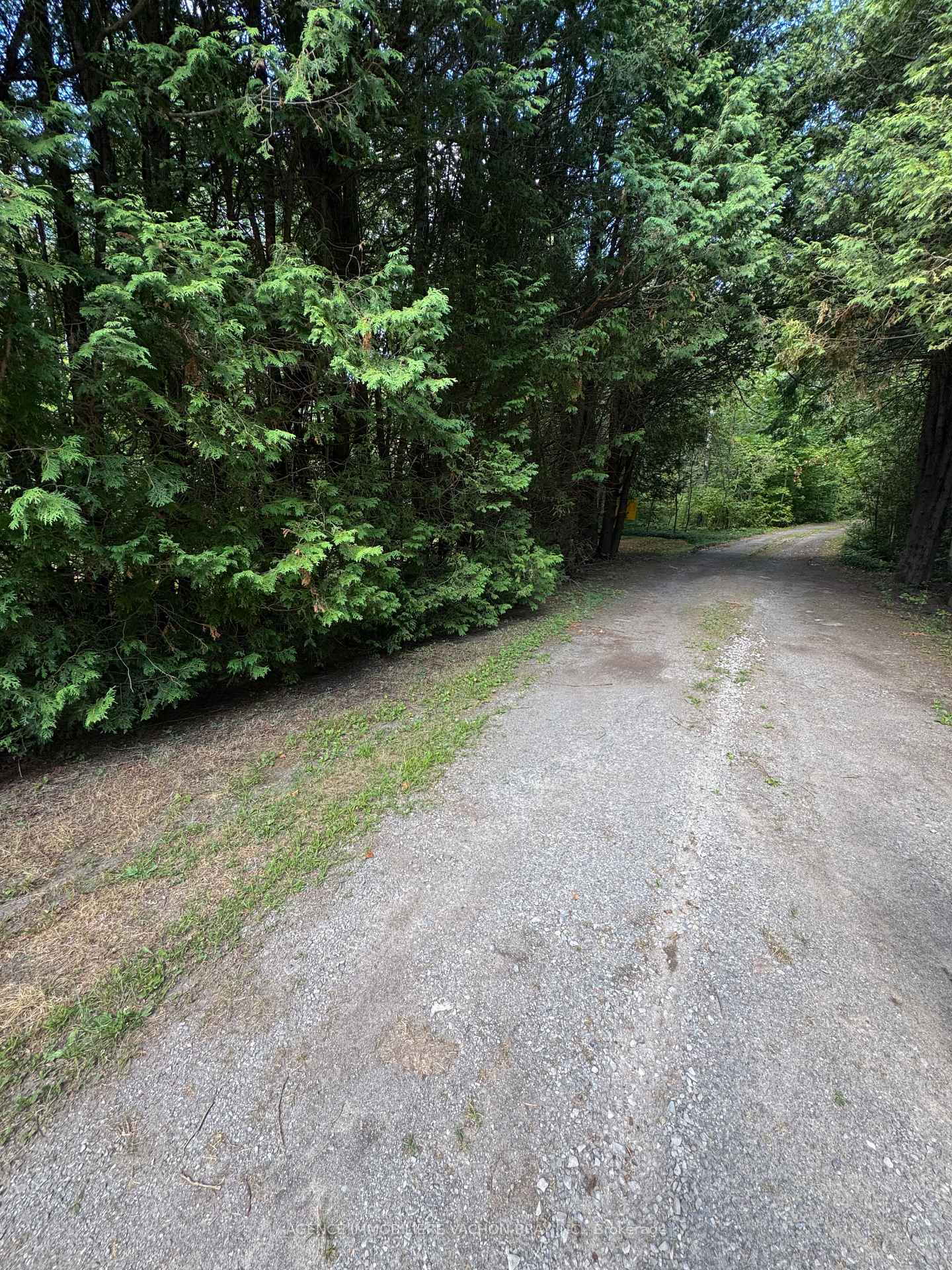 Photo 2 of 3902 4th Line Road, South Glengarry, South Glengarry (Lancaster) Twp — HOMEH