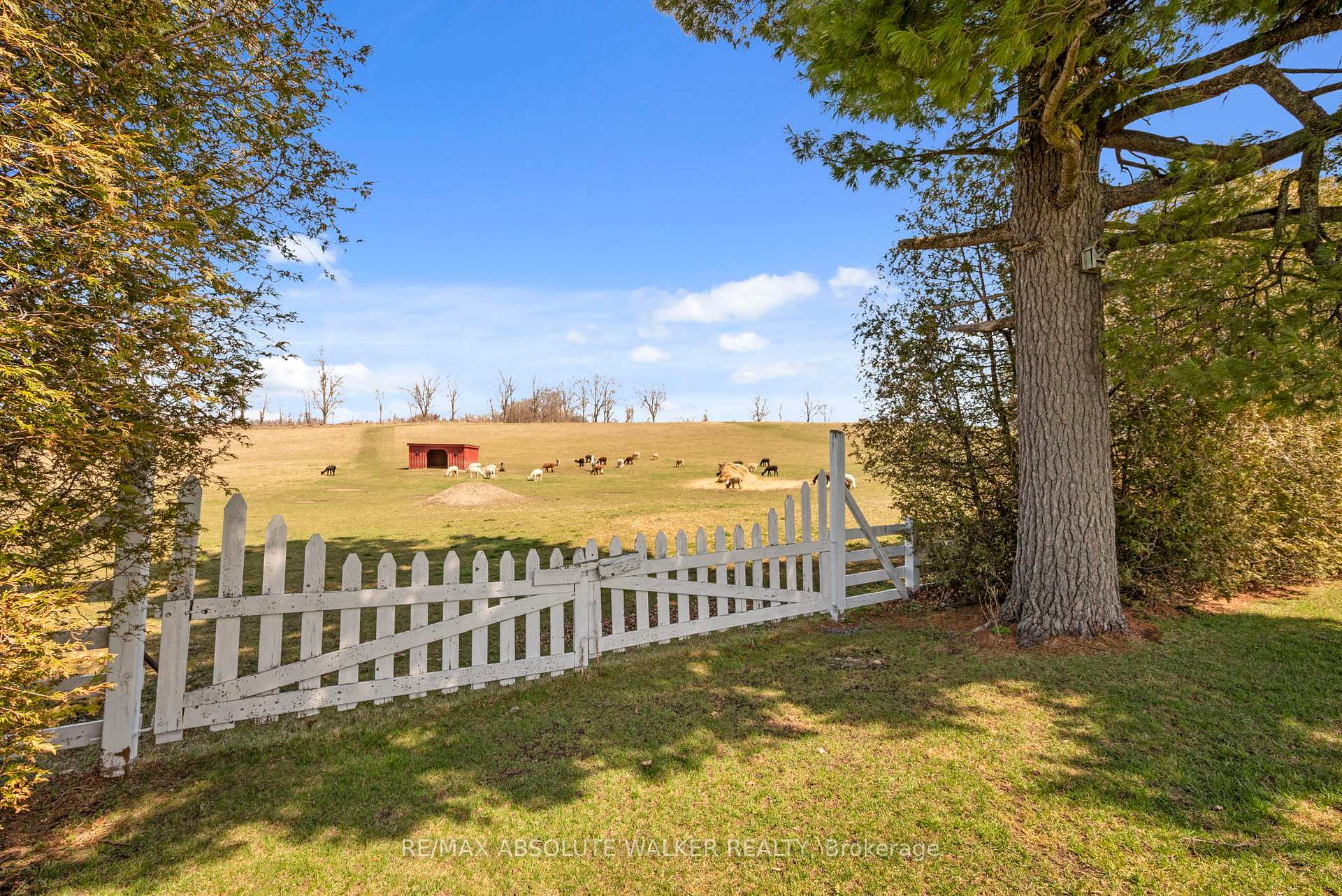 Photo 40 of 19152 County 25 Road, South Glengarry, South Glengarry (Charlottenburgh) Twp — HOMEH