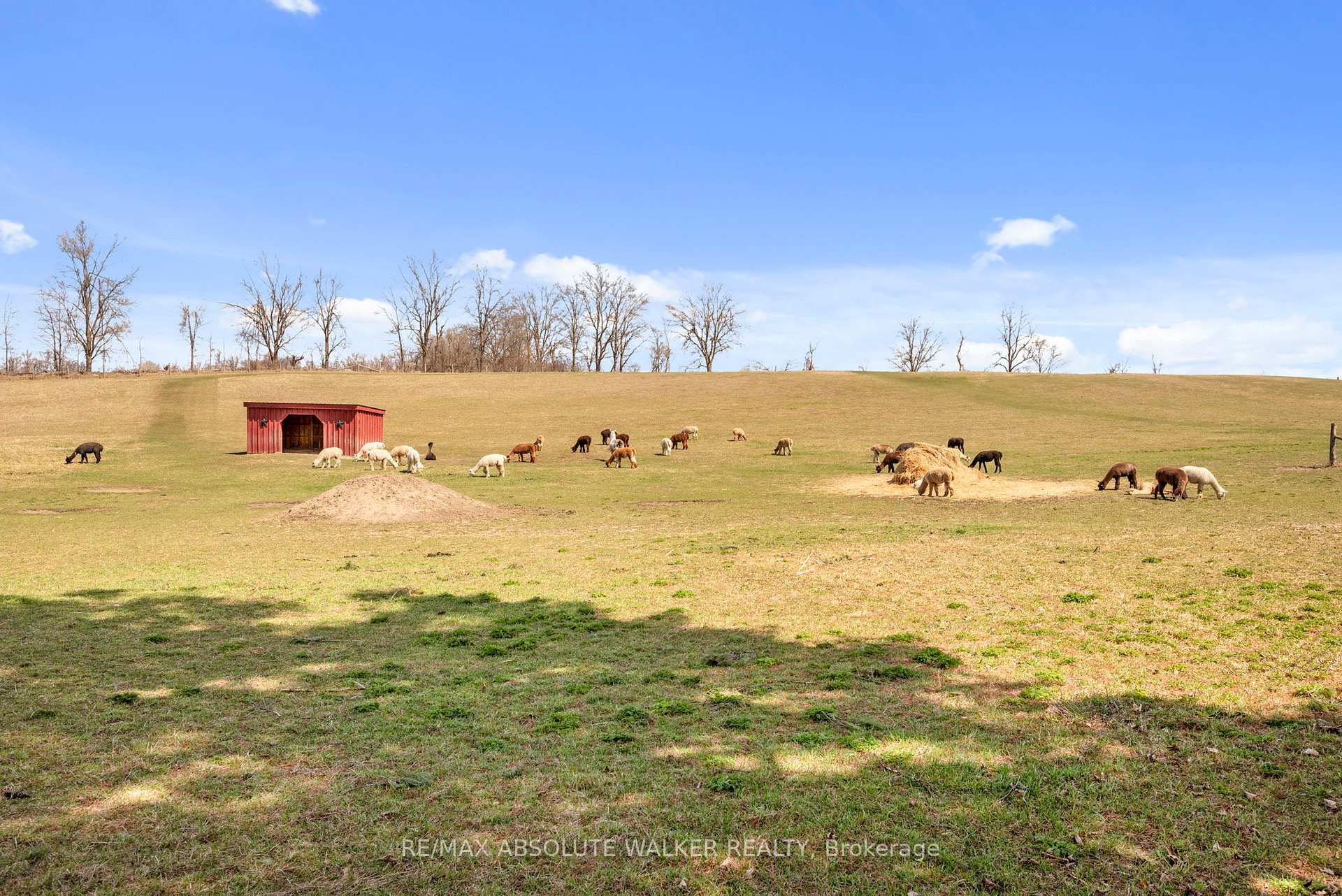 Photo 41 of 19152 County 25 Road, South Glengarry, South Glengarry (Charlottenburgh) Twp — HOMEH