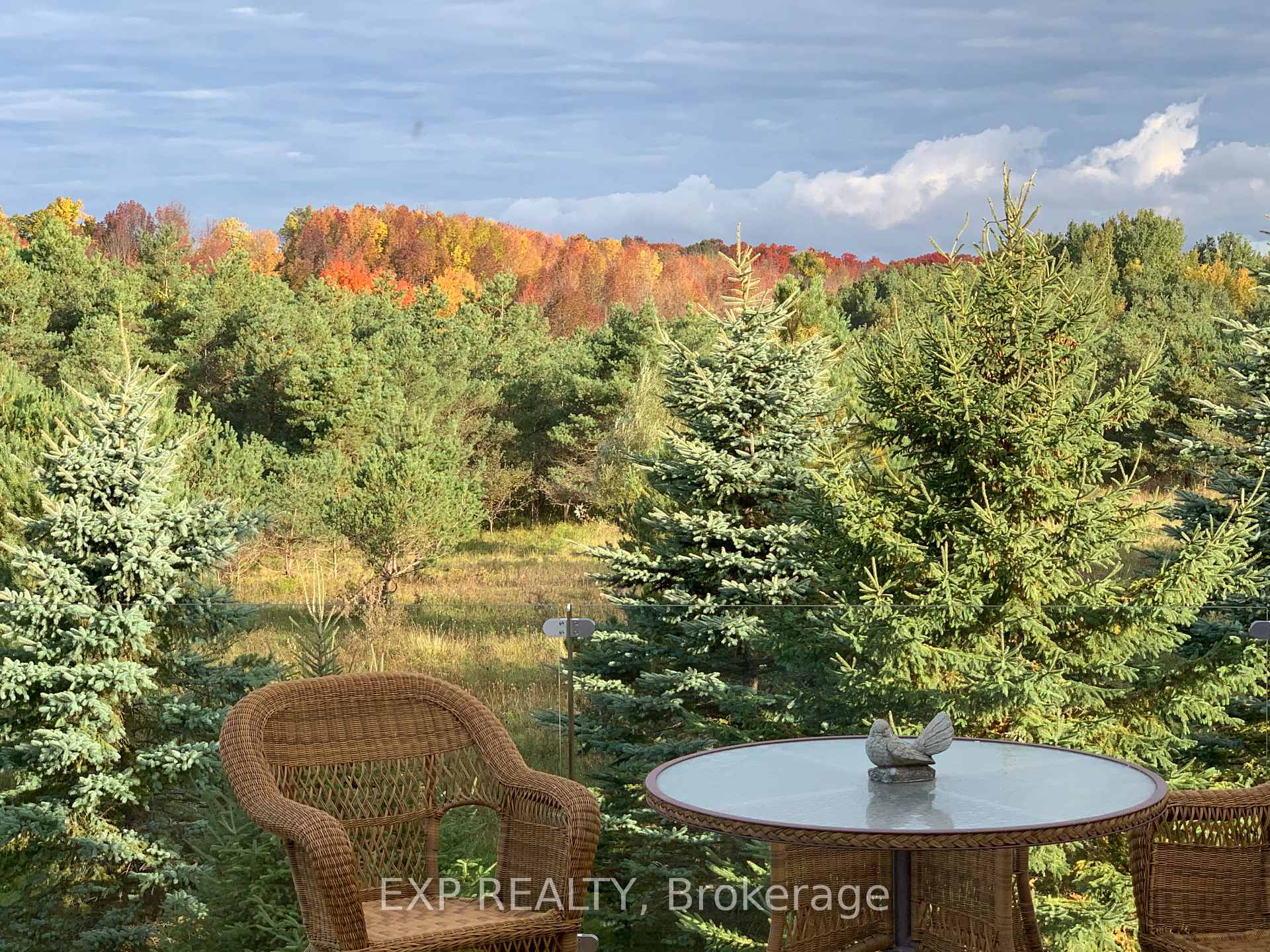 Photo 5 of 1295 Saintfield Road, Scugog, Rural Scugog — HOMEH