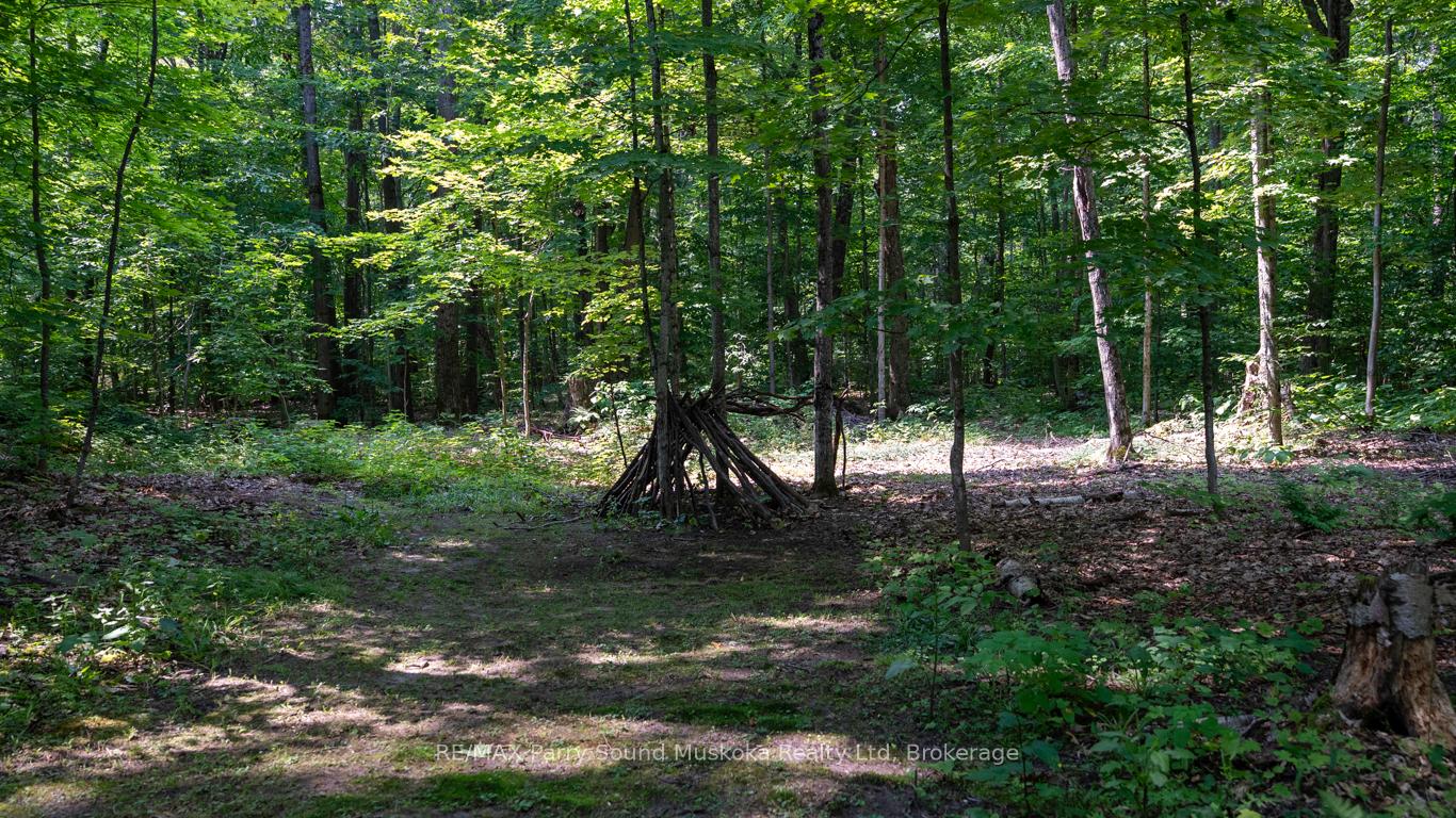 Photo 44 of 20 Sandy Plains Road, Seguin, Humphrey — HOMEH