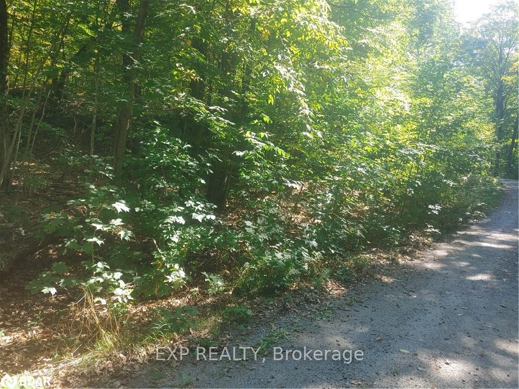 Photo 2 of Johnston Road, Seguin — HOMEH