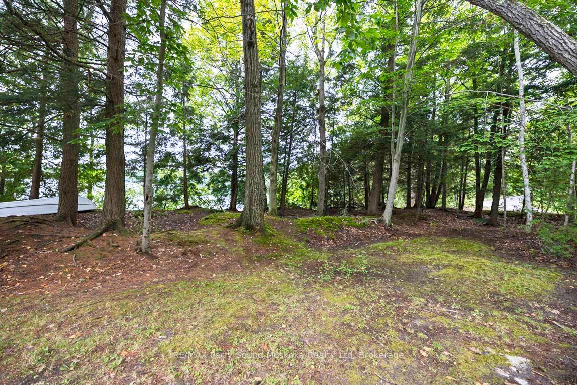 Photo 44 of 4 Mckechnie Road S, Seguin — HOMEH
