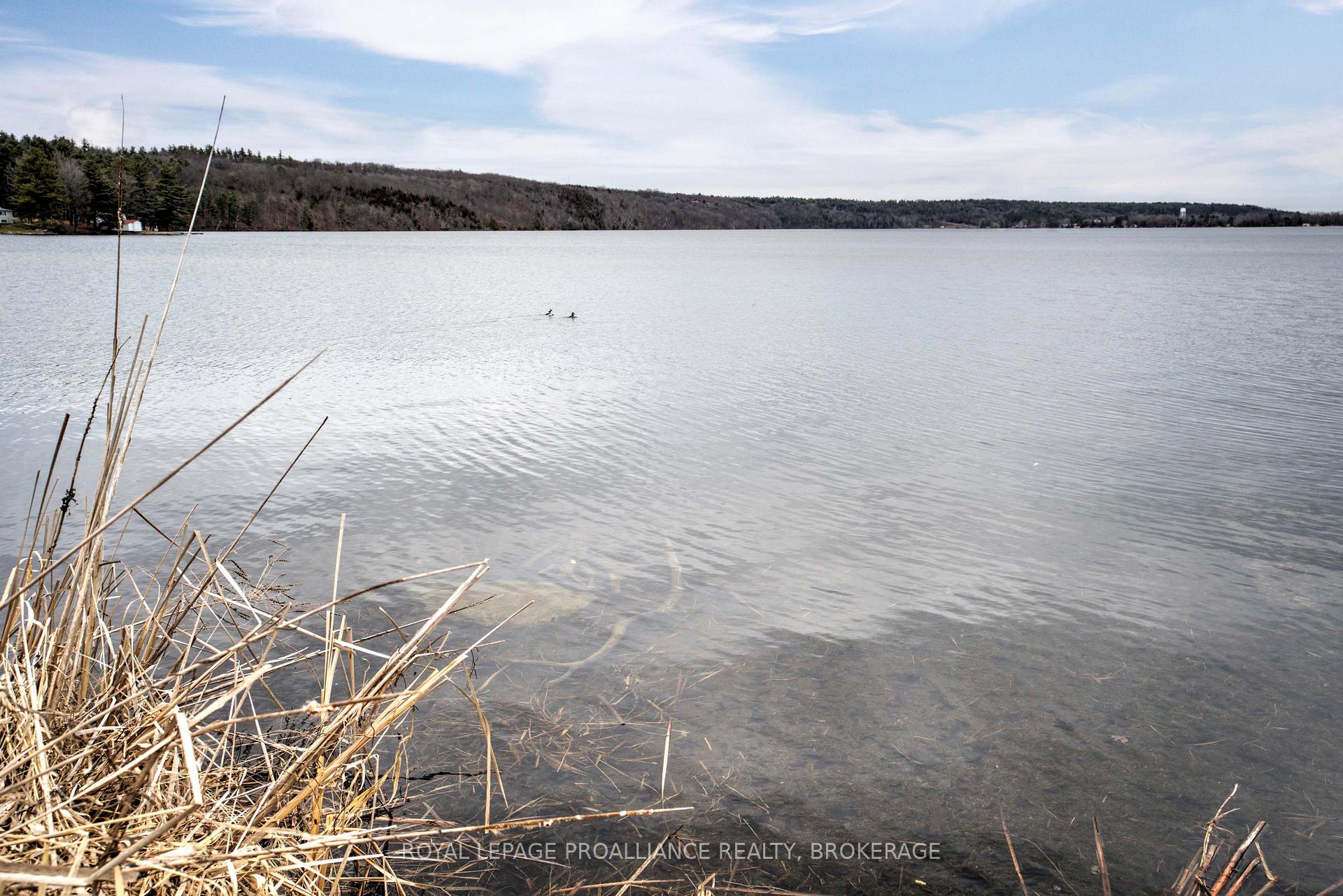 Photo 10 of 559 Ninth Concession Road, Rideau Lakes, Rideau Lakes (North Crosby) Twp — HOMEH