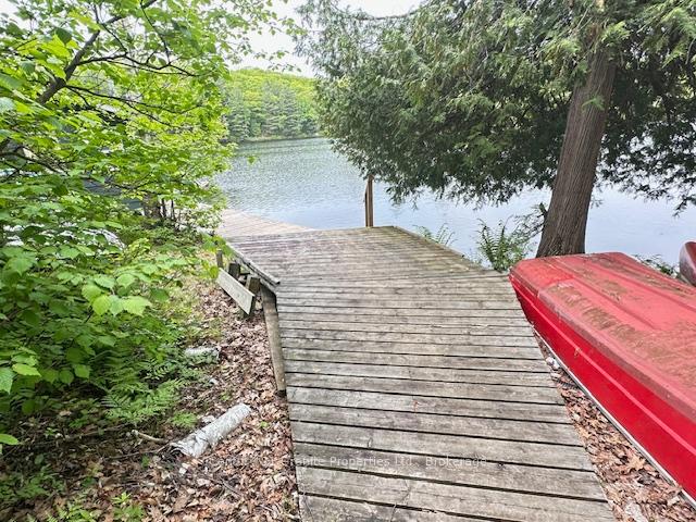 Photo 47 of 131 Downes Road, Seguin — HOMEH