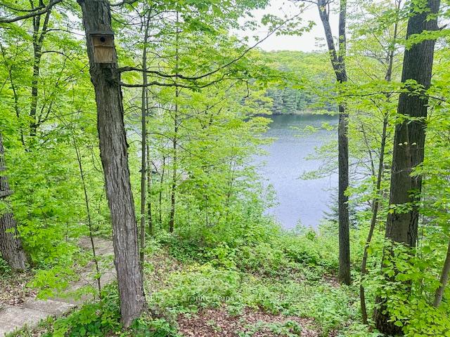 Photo 48 of 131 Downes Road, Seguin — HOMEH