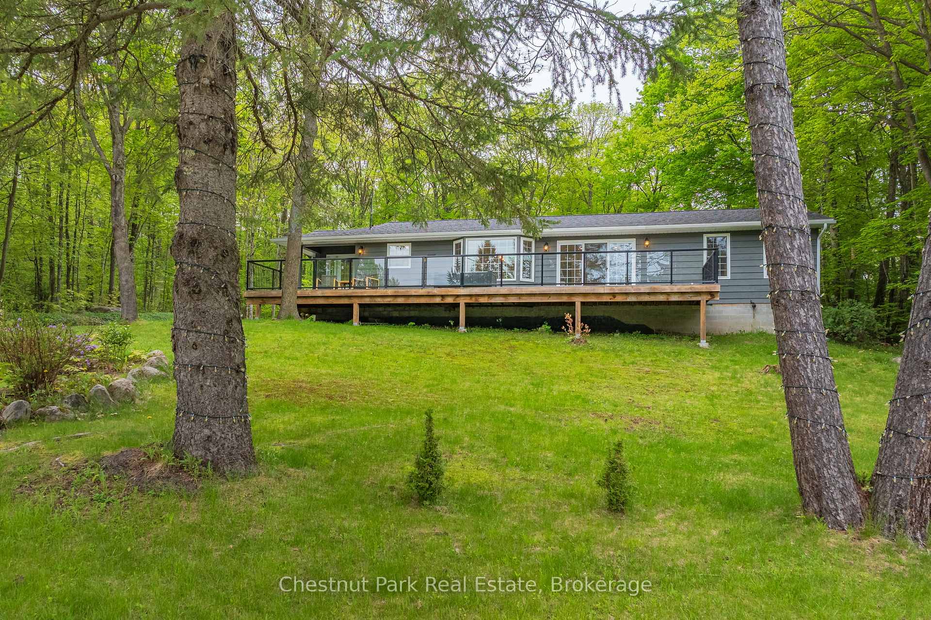 Photo 46 of 16 Clifford Street, Seguin — HOMEH