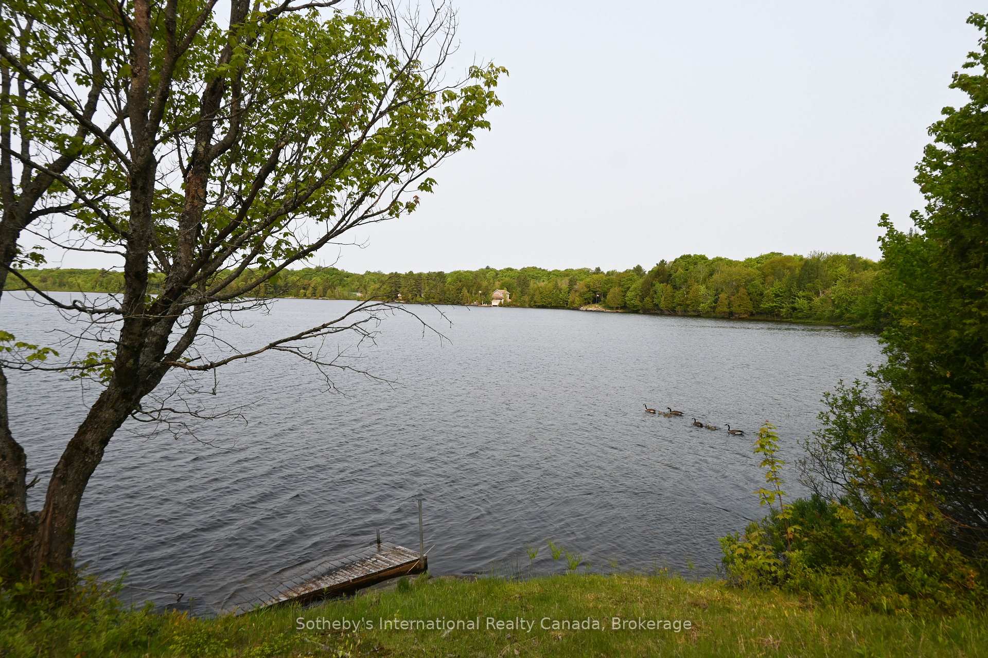 Photo 3 of 27 Diamond Lake Road, Seguin — HOMEH