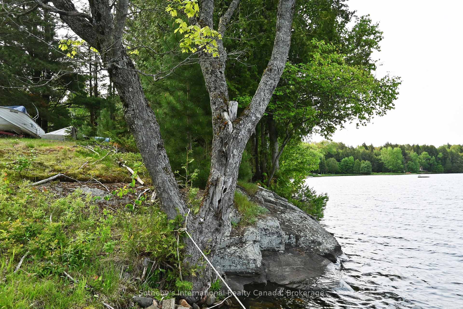 Photo 5 of 27 Diamond Lake Road, Seguin — HOMEH
