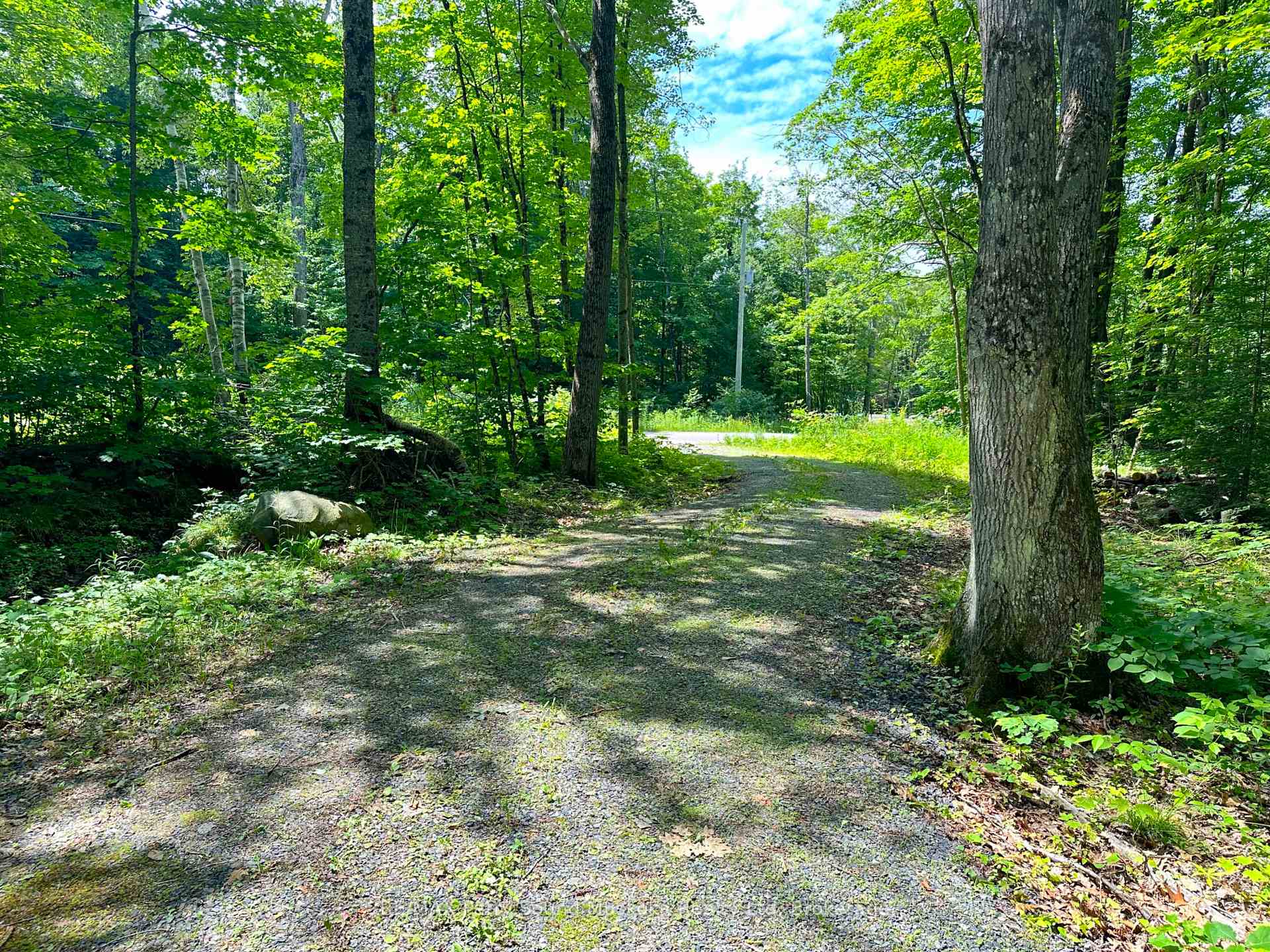 Photo 6 of 63 Sandy Plains Road, Seguin — HOMEH