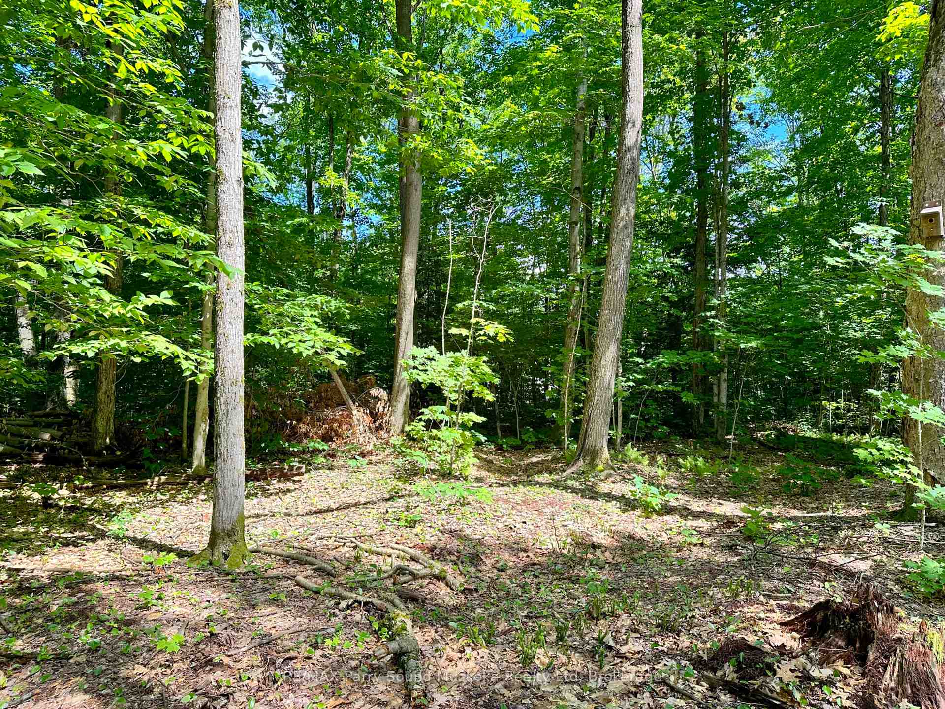 Photo 7 of 63 Sandy Plains Road, Seguin — HOMEH