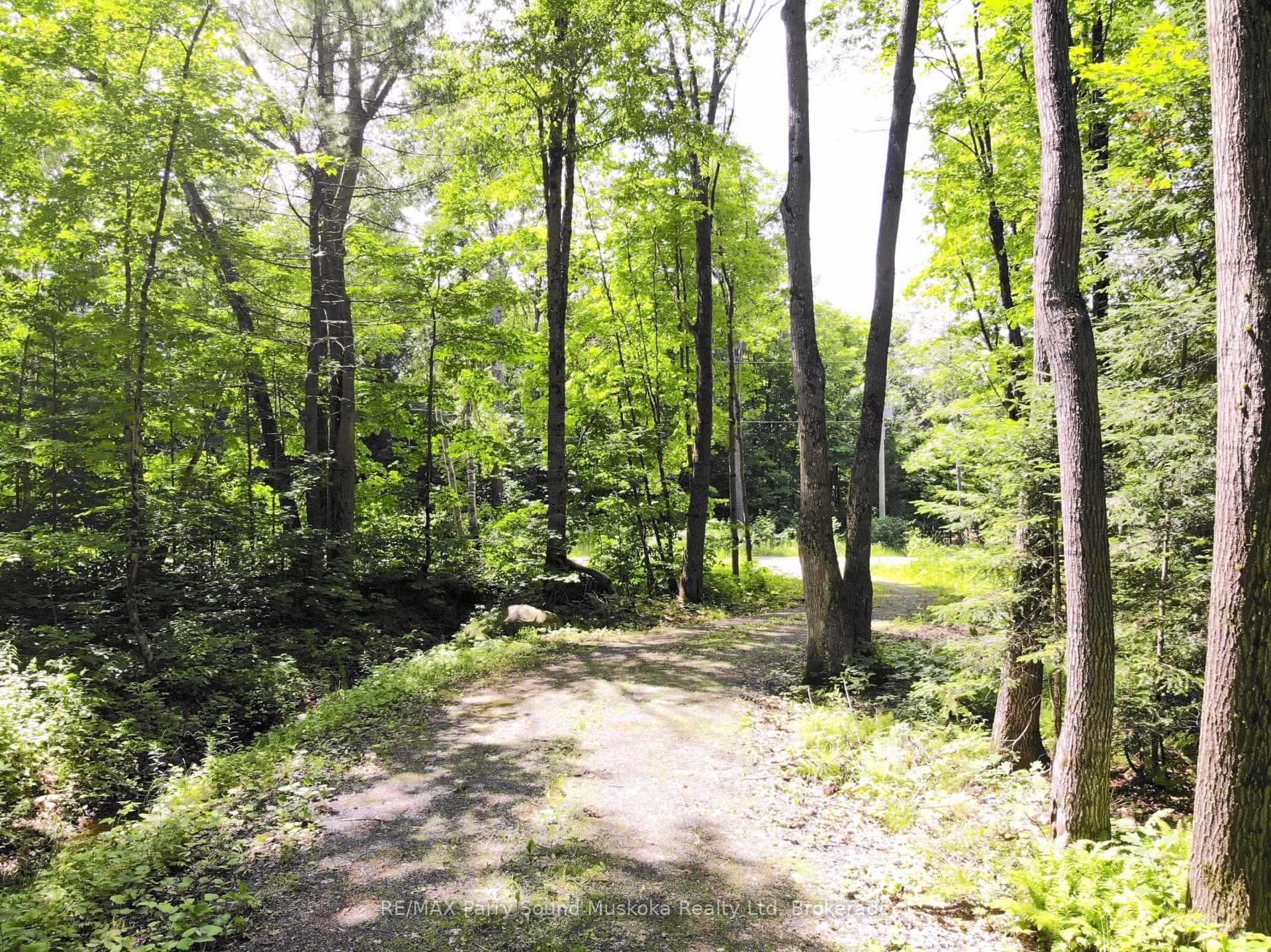 Photo 9 of 63 Sandy Plains Road, Seguin — HOMEH