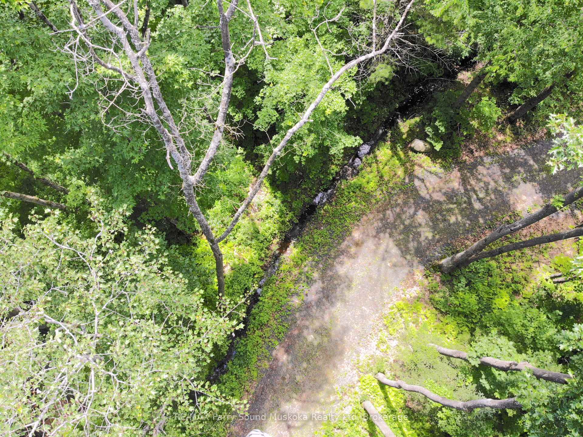 Photo 12 of 63 Sandy Plains Road, Seguin — HOMEH