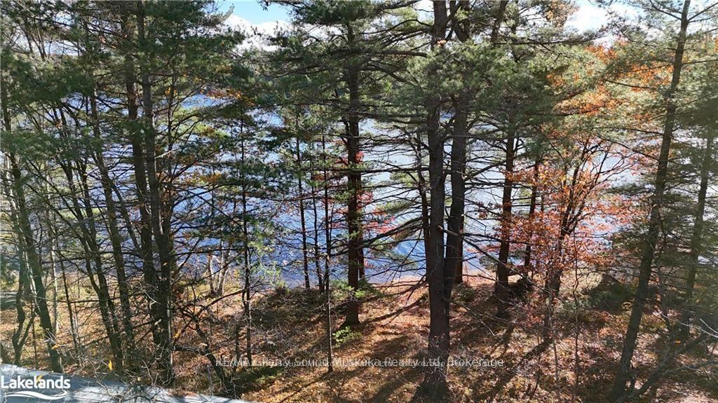 Photo 11 of 27 Storm Lake Road, Seguin — HOMEH