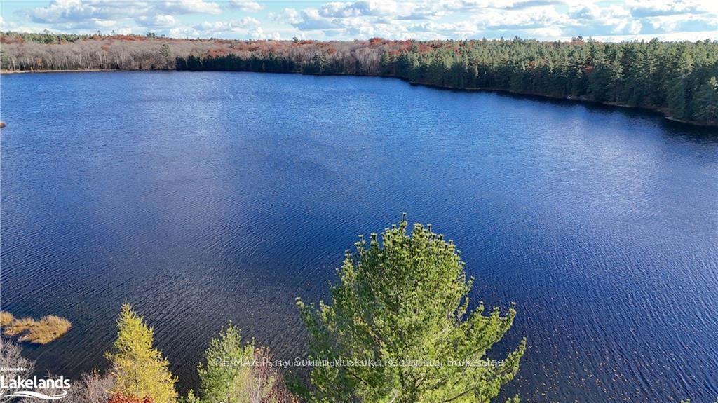 Photo 12 of 27 Storm Lake Road, Seguin — HOMEH