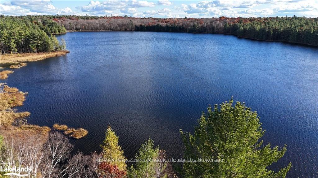 Photo 13 of 27 Storm Lake Road, Seguin — HOMEH