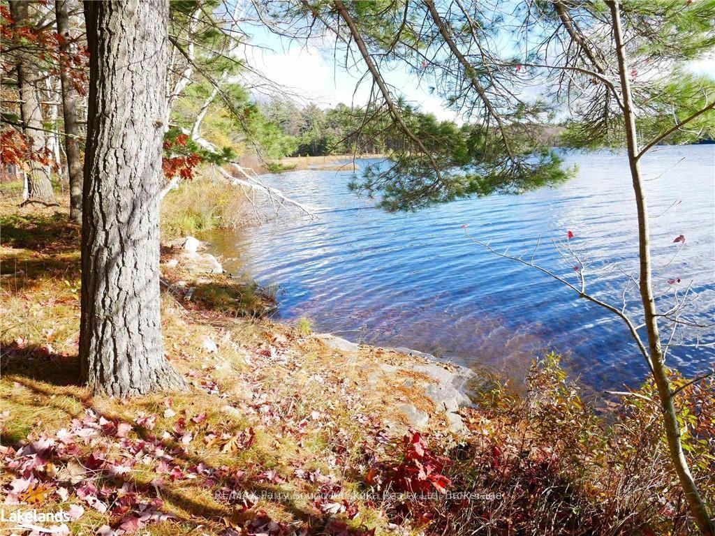 Photo 24 of 27 Storm Lake Road, Seguin — HOMEH