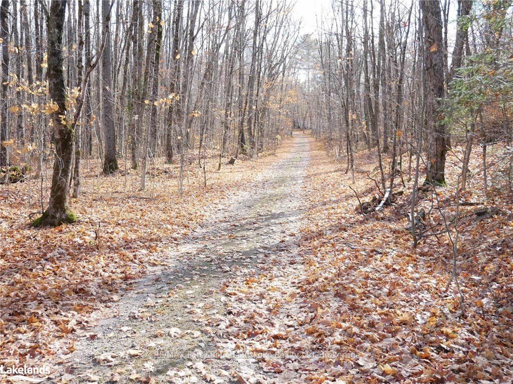 Photo 41 of 27 Storm Lake Road, Seguin — HOMEH