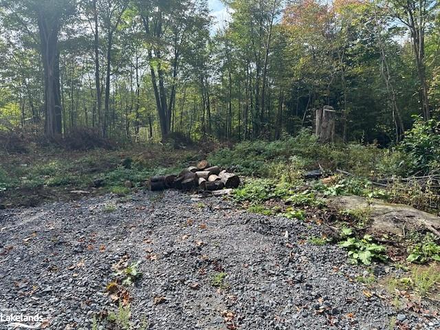 Photo 2 of 8 Dixon Road, Seguin — HOMEH