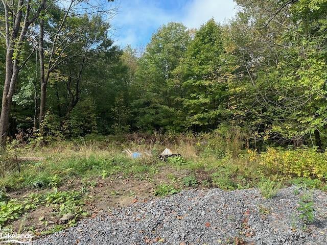 Photo 4 of 8 Dixon Road, Seguin — HOMEH