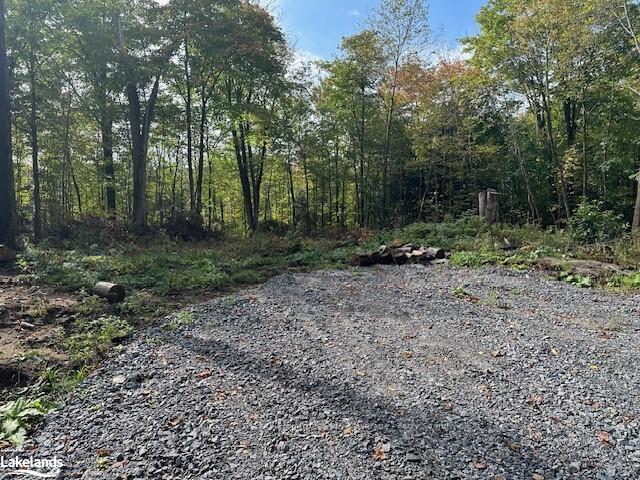 Photo 6 of 8 Dixon Road, Seguin — HOMEH