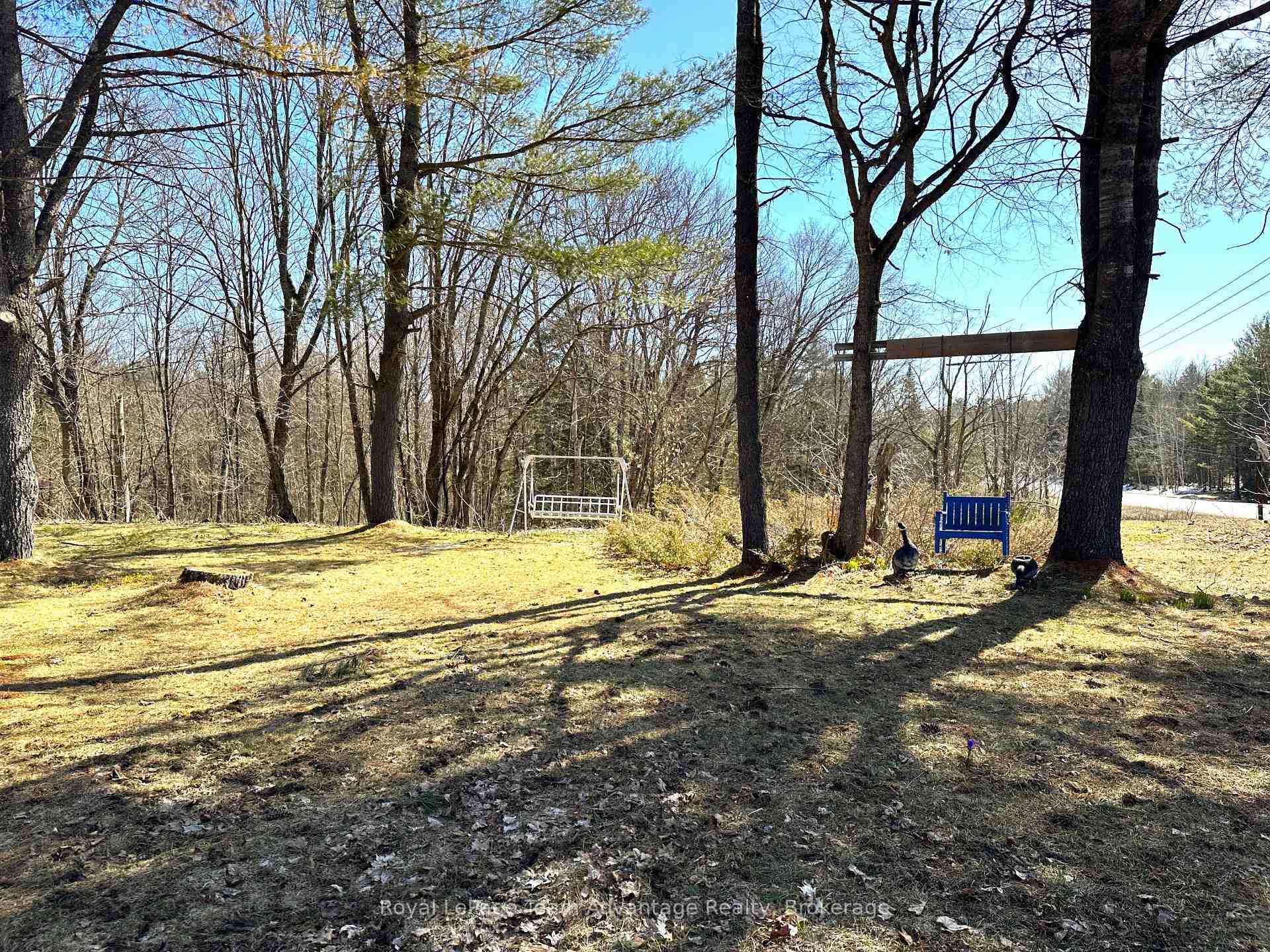 Photo 37 of 709 141 Highway, Seguin — HOMEH