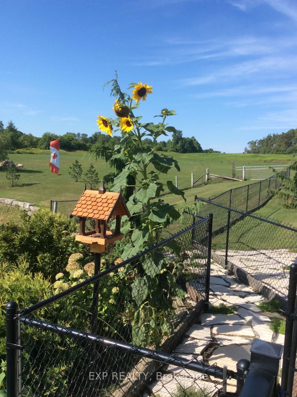 Photo 41 of 102 Aldred Drive, Scugog, Rural Scugog — HOMEH