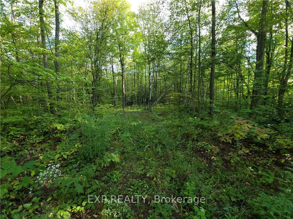 Photo 2 of 00 Parkhill Circle, South Glengarry, South Glengarry (Lancaster) Twp — HOMEH