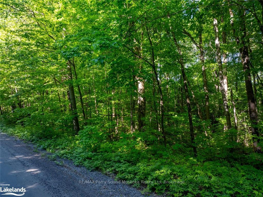 Photo 3 of 187B Star Lake Road, Seguin — HOMEH