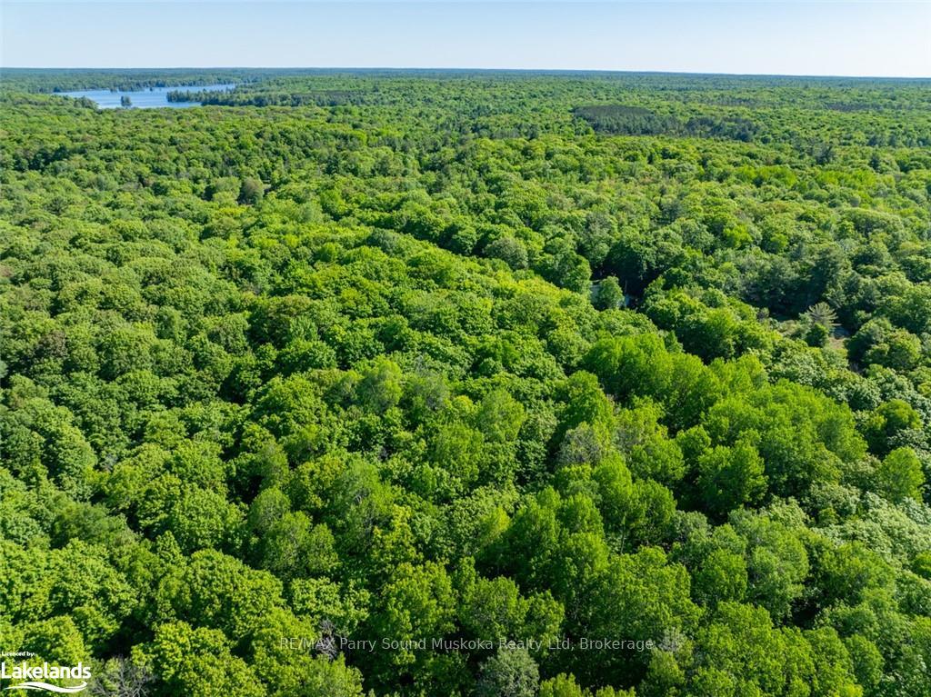 Photo 5 of 187B Star Lake Road, Seguin — HOMEH
