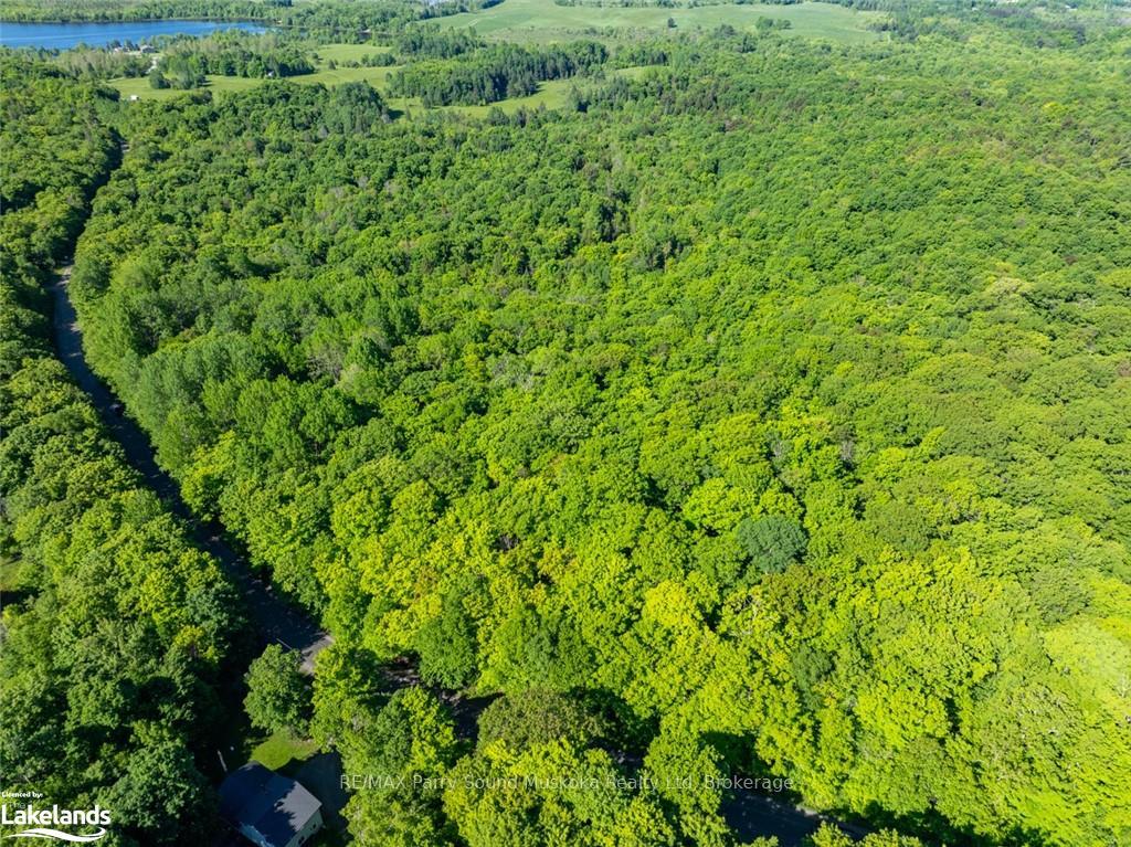 Photo 6 of 187B Star Lake Road, Seguin — HOMEH
