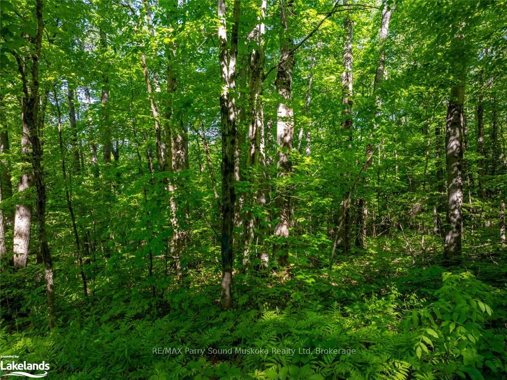 Photo 7 of 187B Star Lake Road, Seguin — HOMEH