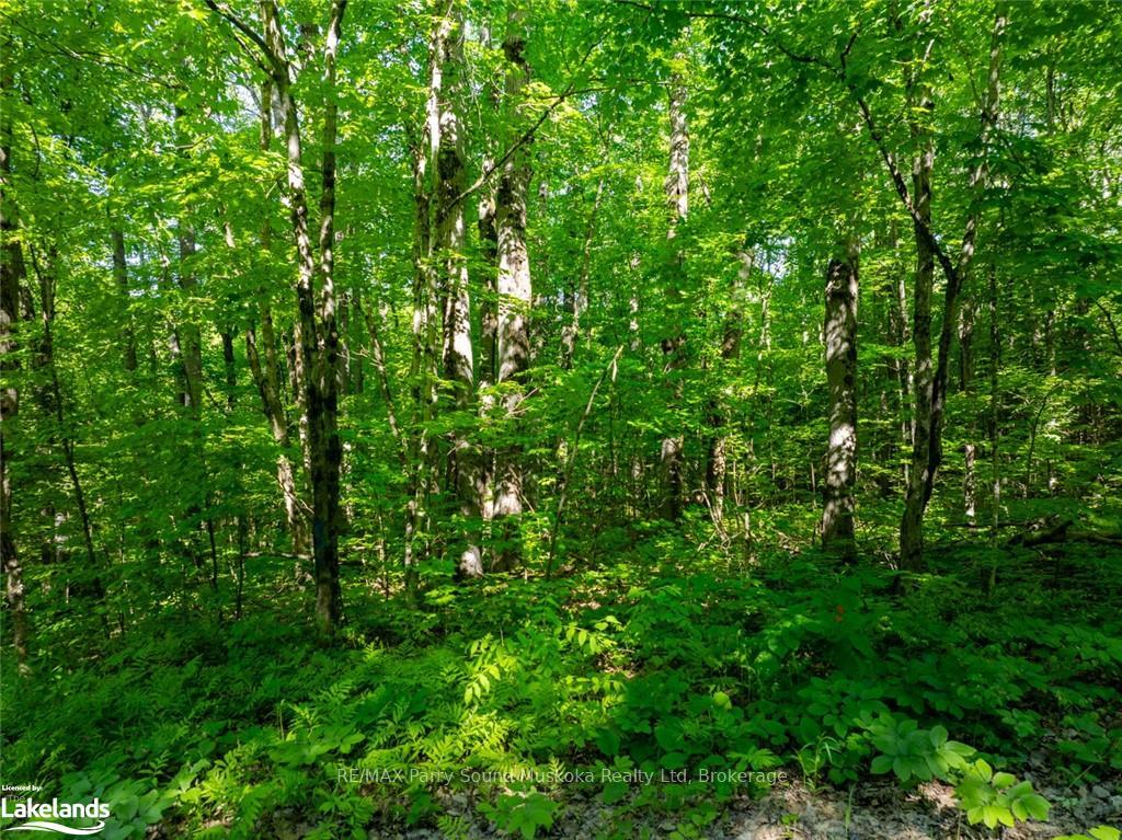 Photo 8 of 187B Star Lake Road, Seguin — HOMEH