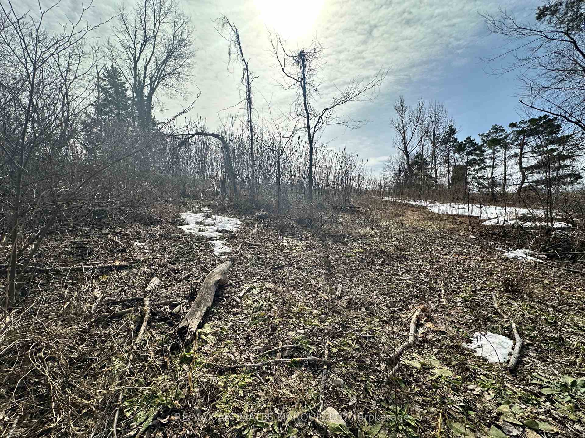 Photo 6 of 19791 County 18 Road, South Glengarry, South Glengarry (Charlottenburgh) Twp — HOMEH