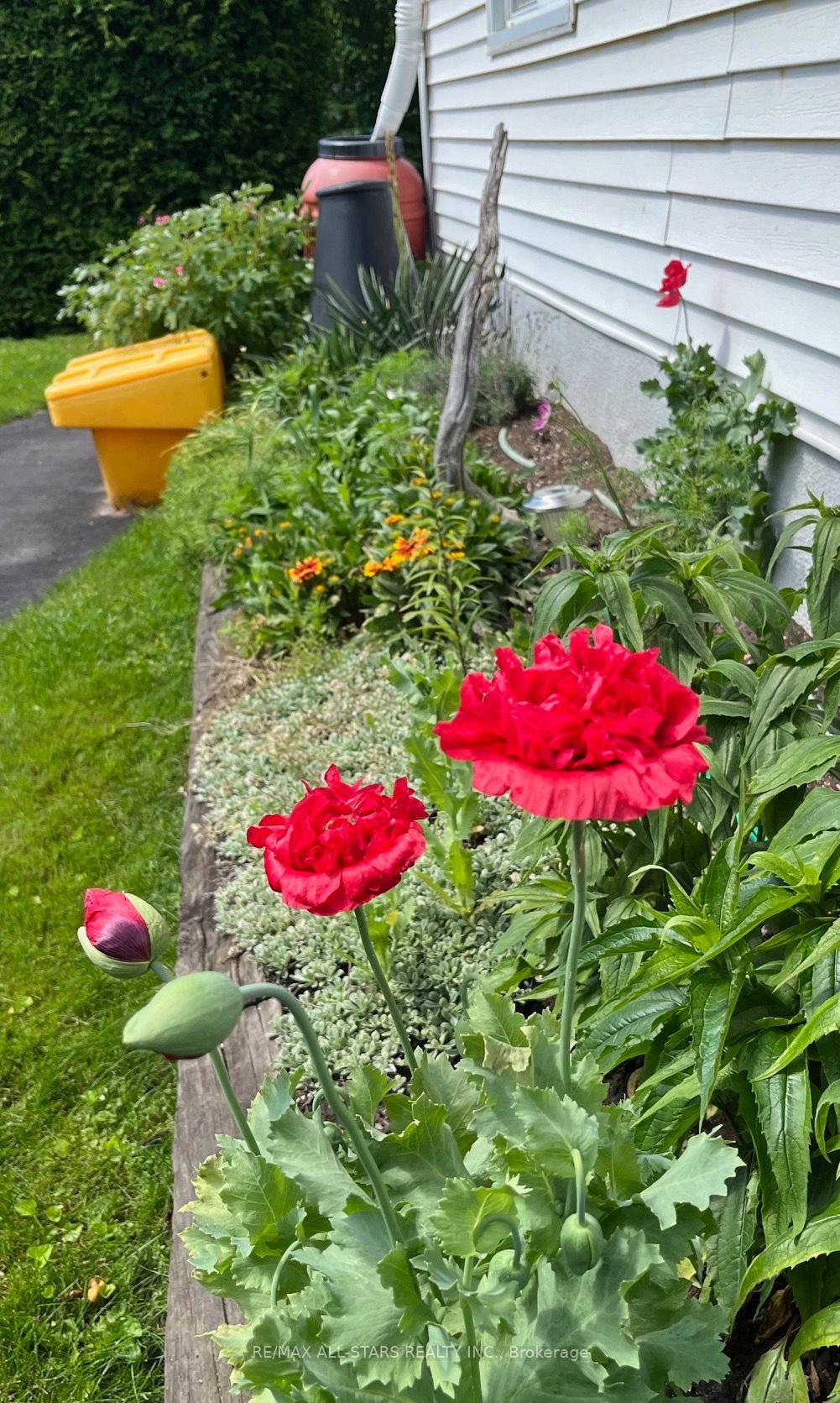 Photo 43 of 46 Allan Street, Scugog, Port Perry — HOMEH