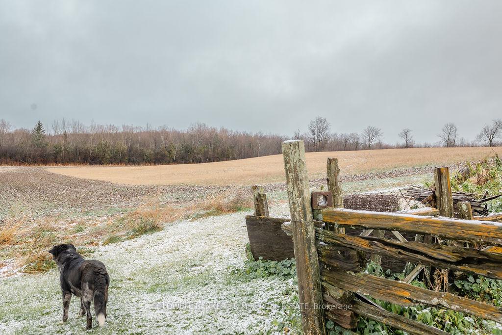 Photo 8 of 925 Cragg Road, Scugog, Rural Scugog — HOMEH