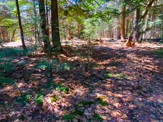 Photo 17 of 250 Turtle Lake Road, Seguin — HOMEH
