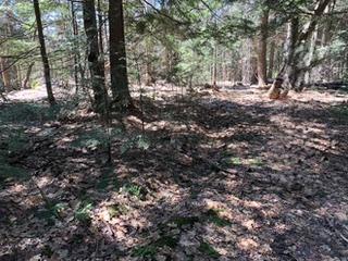 Photo 18 of 250 Turtle Lake Road, Seguin — HOMEH
