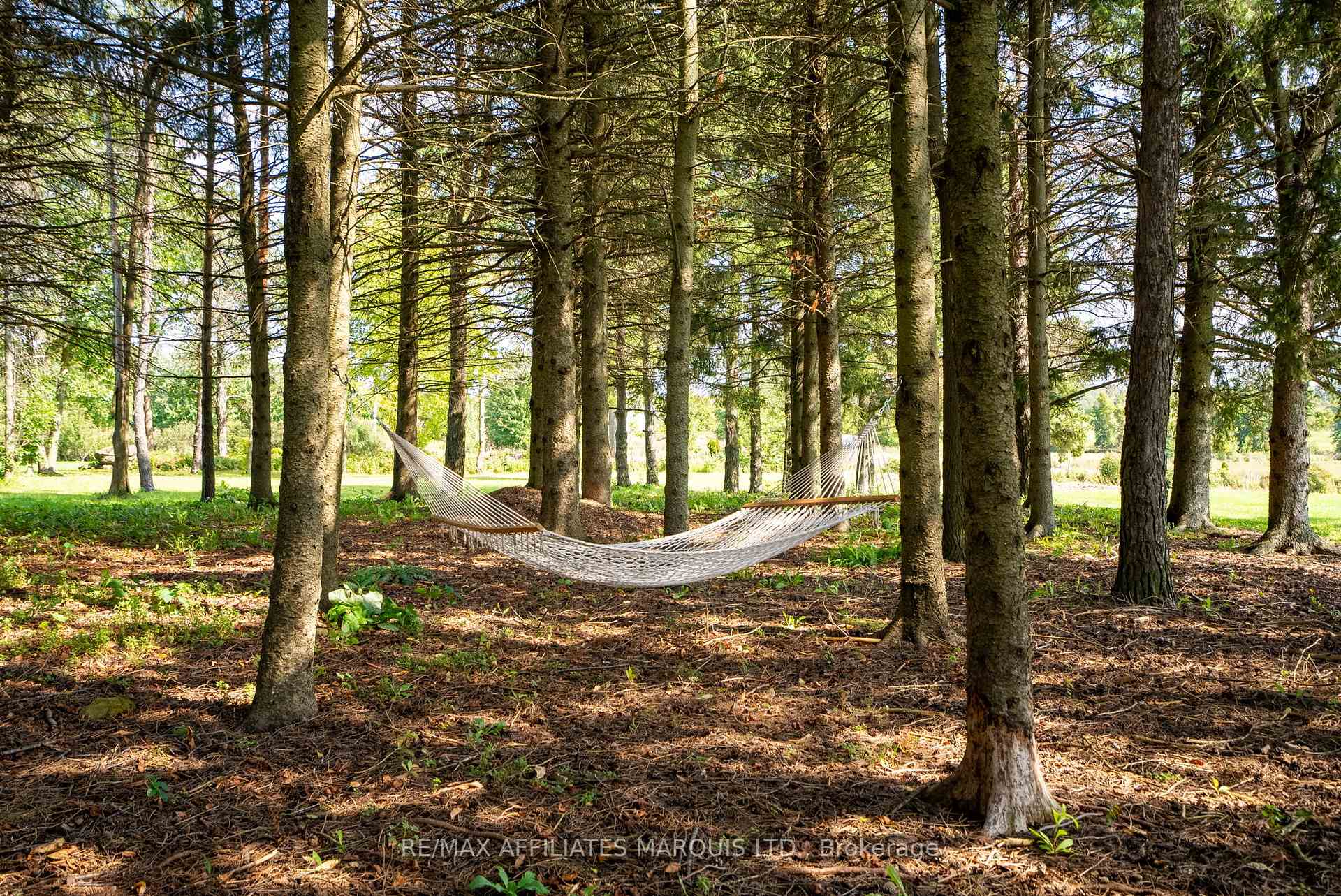 Photo 36 of 18370 Tyotown Road, South Glengarry, South Glengarry (Charlottenburgh) Twp — HOMEH