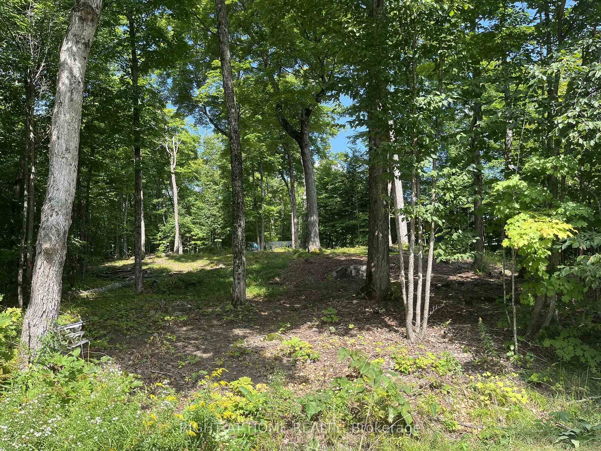Photo 1 of Magor Drive, Seguin — HOMEH