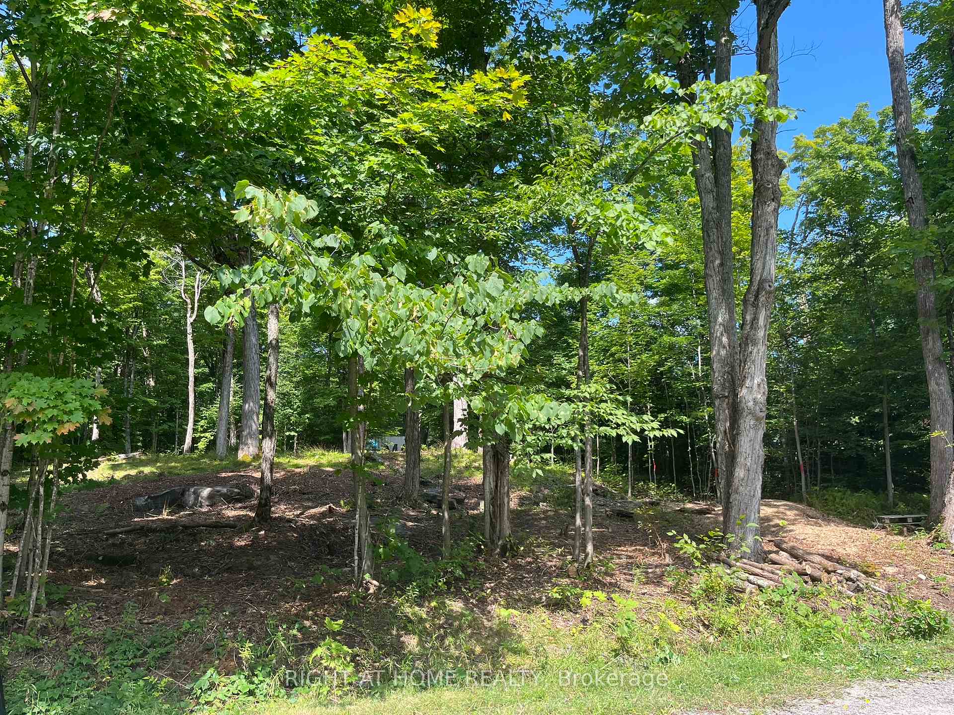 Photo 3 of Magor Drive, Seguin — HOMEH