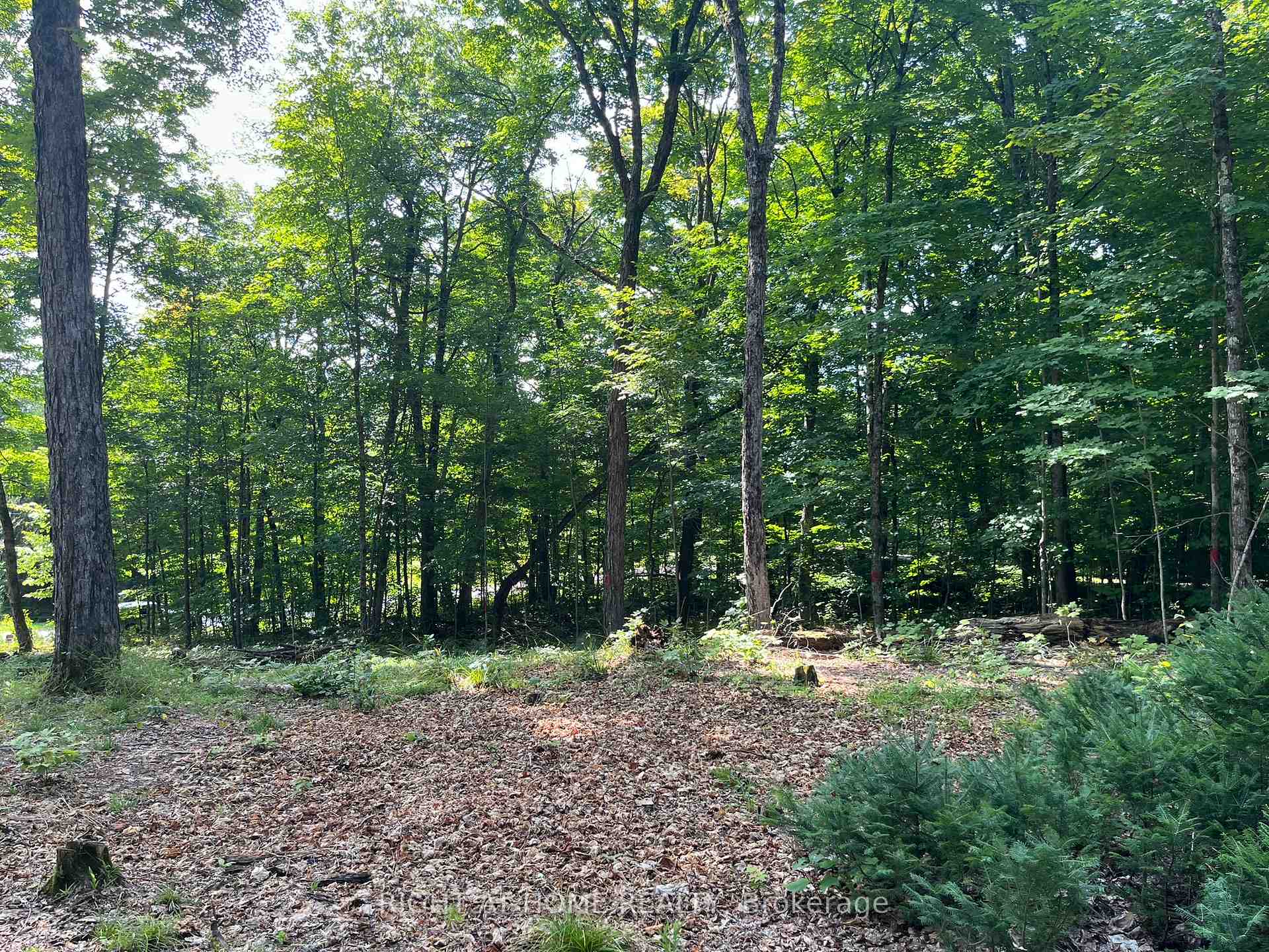 Photo 8 of Magor Drive, Seguin — HOMEH