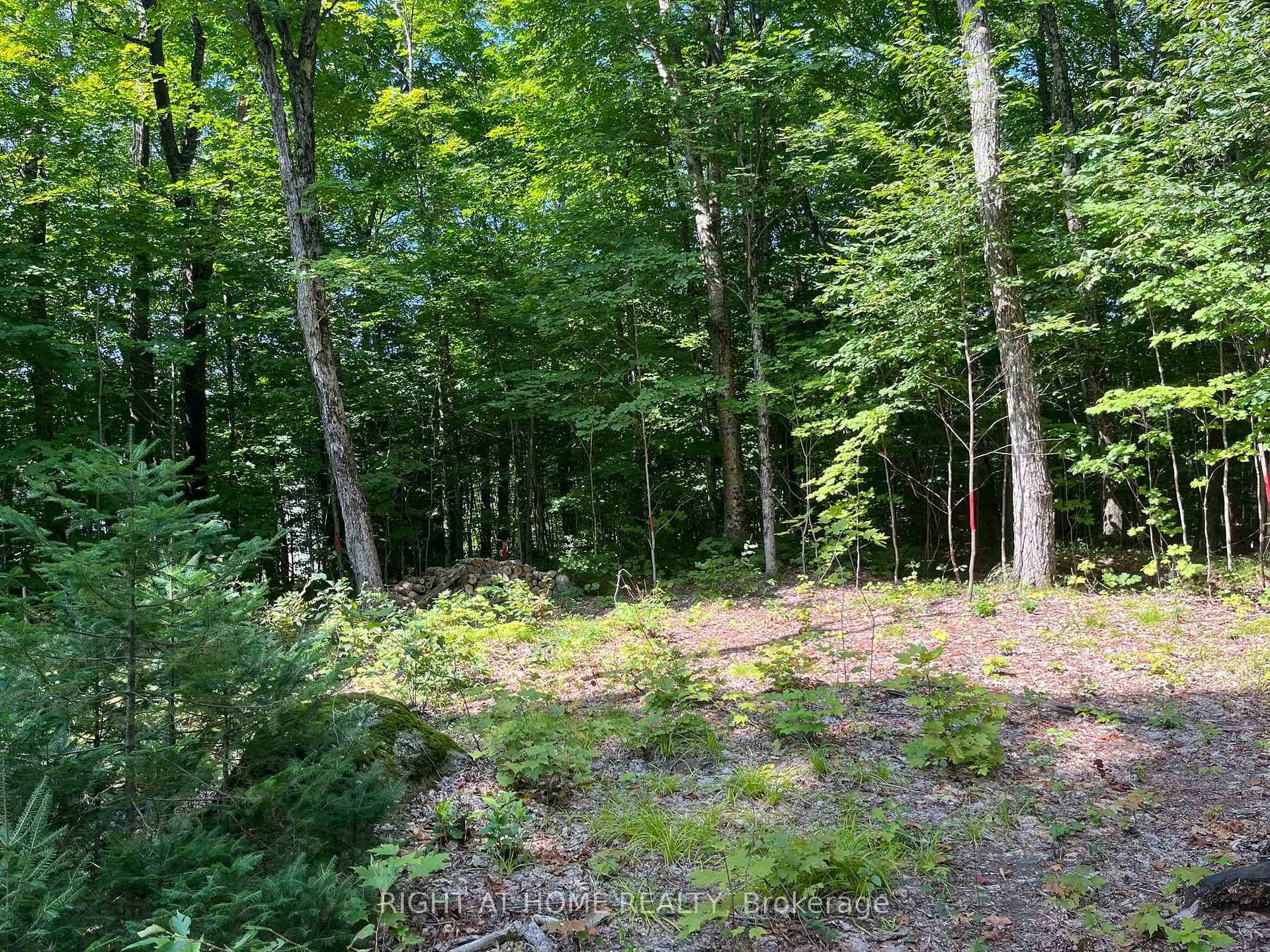 Photo 9 of Magor Drive, Seguin — HOMEH