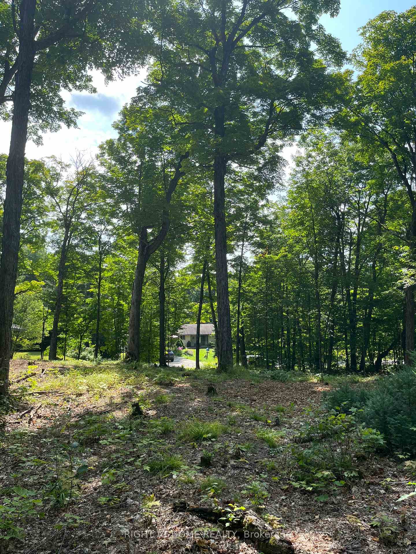 Photo 14 of Magor Drive, Seguin — HOMEH