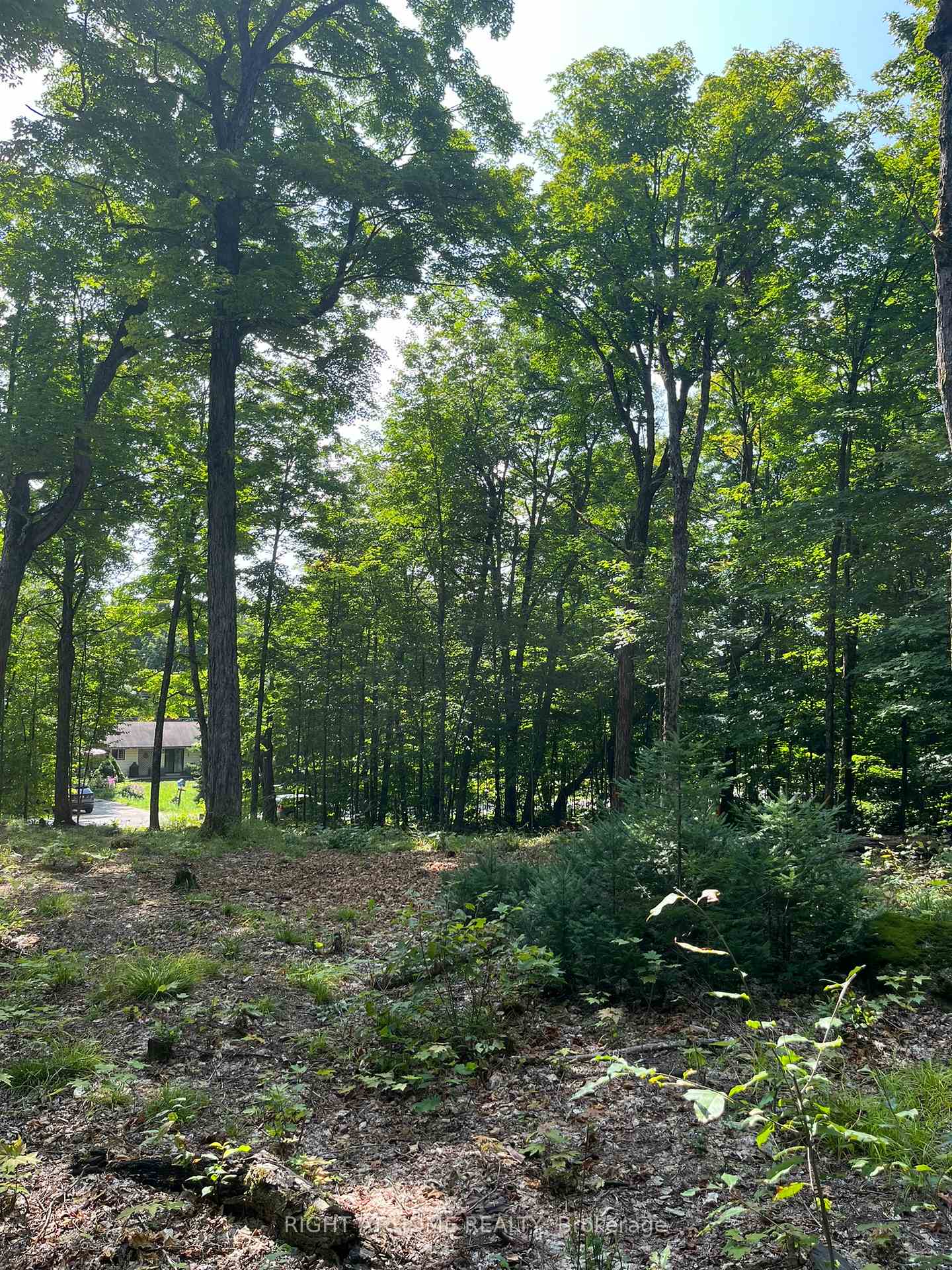 Photo 15 of Magor Drive, Seguin — HOMEH