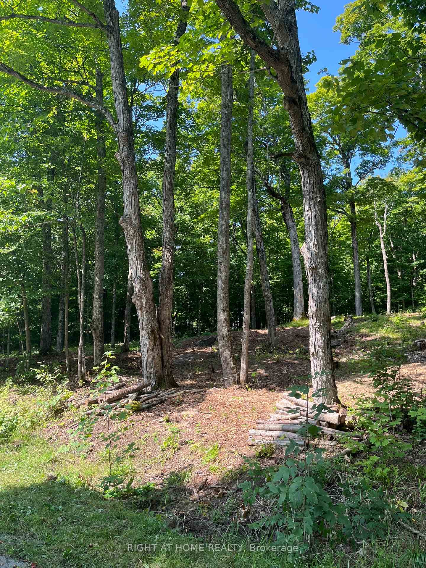 Photo 17 of Magor Drive, Seguin — HOMEH