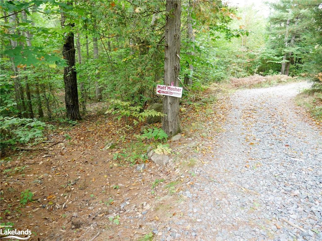 Photo 3 of 773 Mccoy Lake, Seguin — HOMEH
